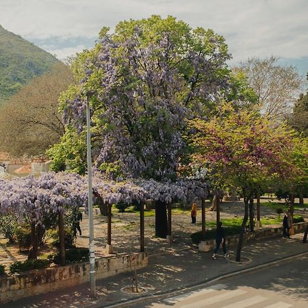 Hotel - Villa Lejla โมสตาร์ ภายนอก รูปภาพ